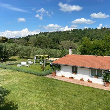 Tenuta Le Mandorlaie, Agriturismo In Скансано Екстериор снимка