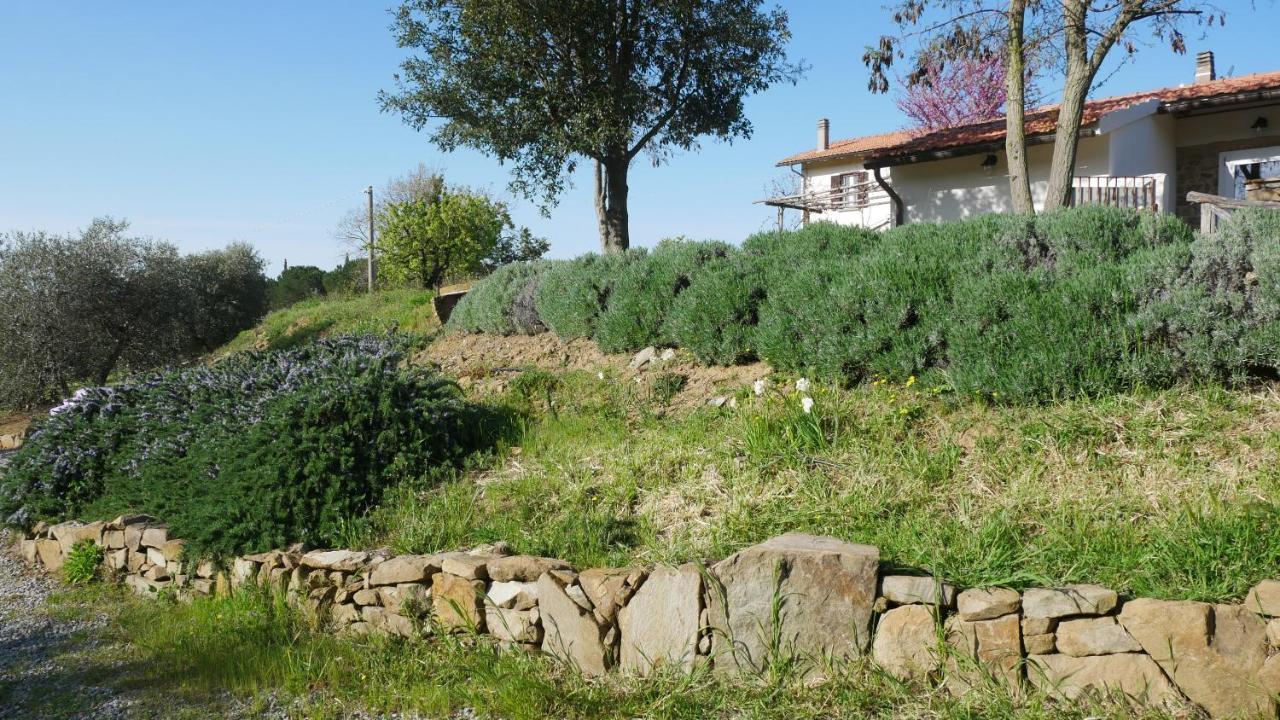 Tenuta Le Mandorlaie, Agriturismo In Скансано Екстериор снимка