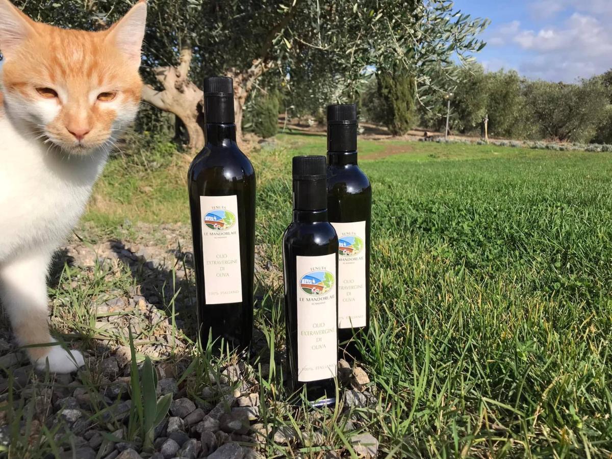 Tenuta Le Mandorlaie, Agriturismo In Скансано Екстериор снимка