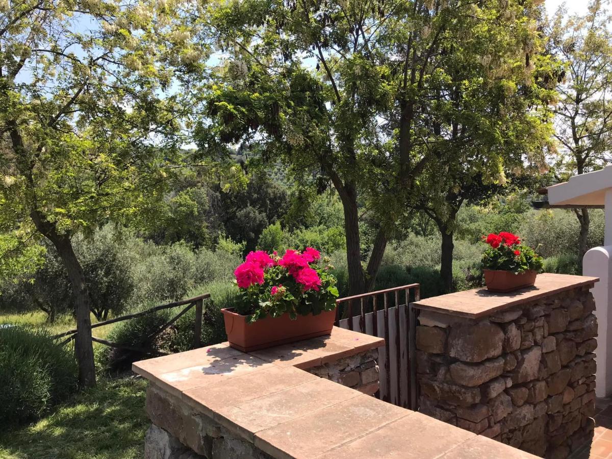 Tenuta Le Mandorlaie, Agriturismo In Скансано Екстериор снимка