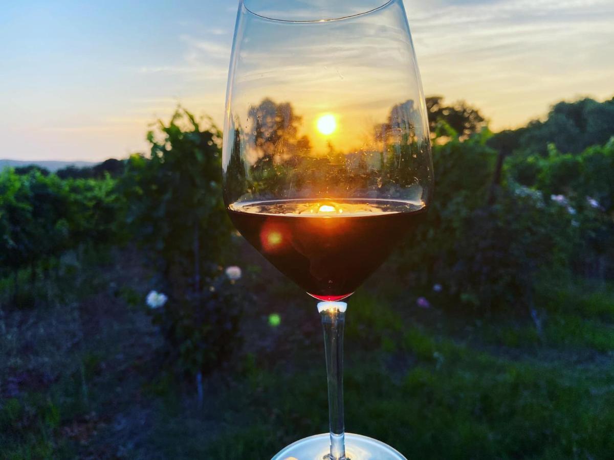 Tenuta Le Mandorlaie, Agriturismo In Скансано Екстериор снимка