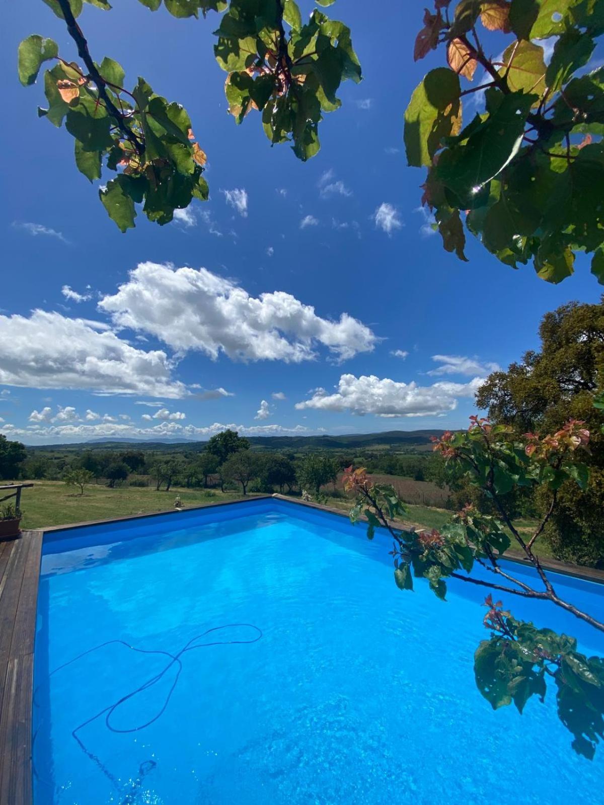 Tenuta Le Mandorlaie, Agriturismo In Скансано Екстериор снимка