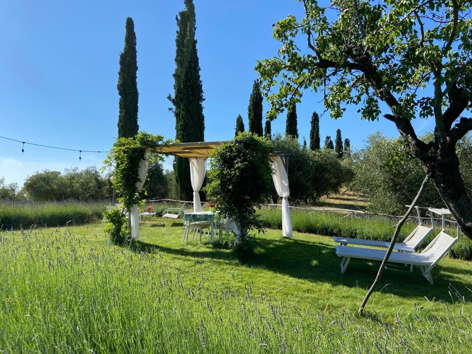 Tenuta Le Mandorlaie, Agriturismo In Скансано Екстериор снимка