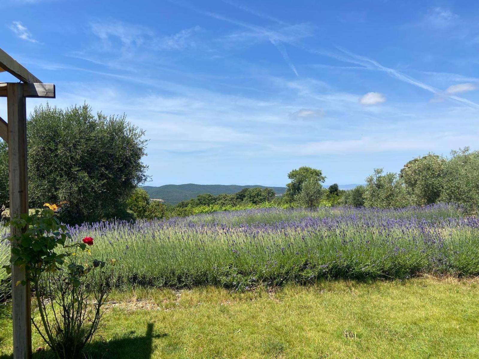 Tenuta Le Mandorlaie, Agriturismo In Скансано Екстериор снимка