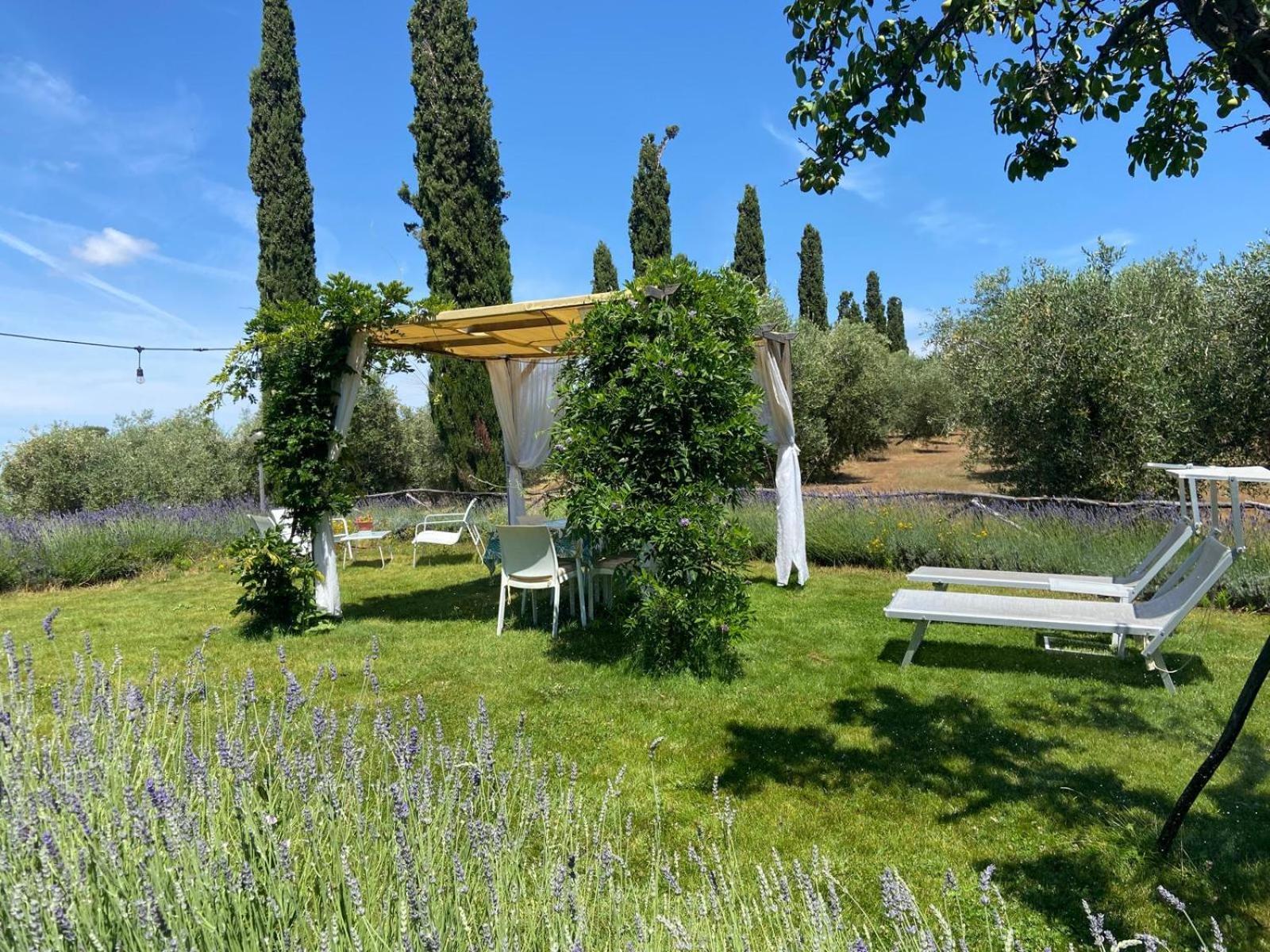 Tenuta Le Mandorlaie, Agriturismo In Скансано Екстериор снимка