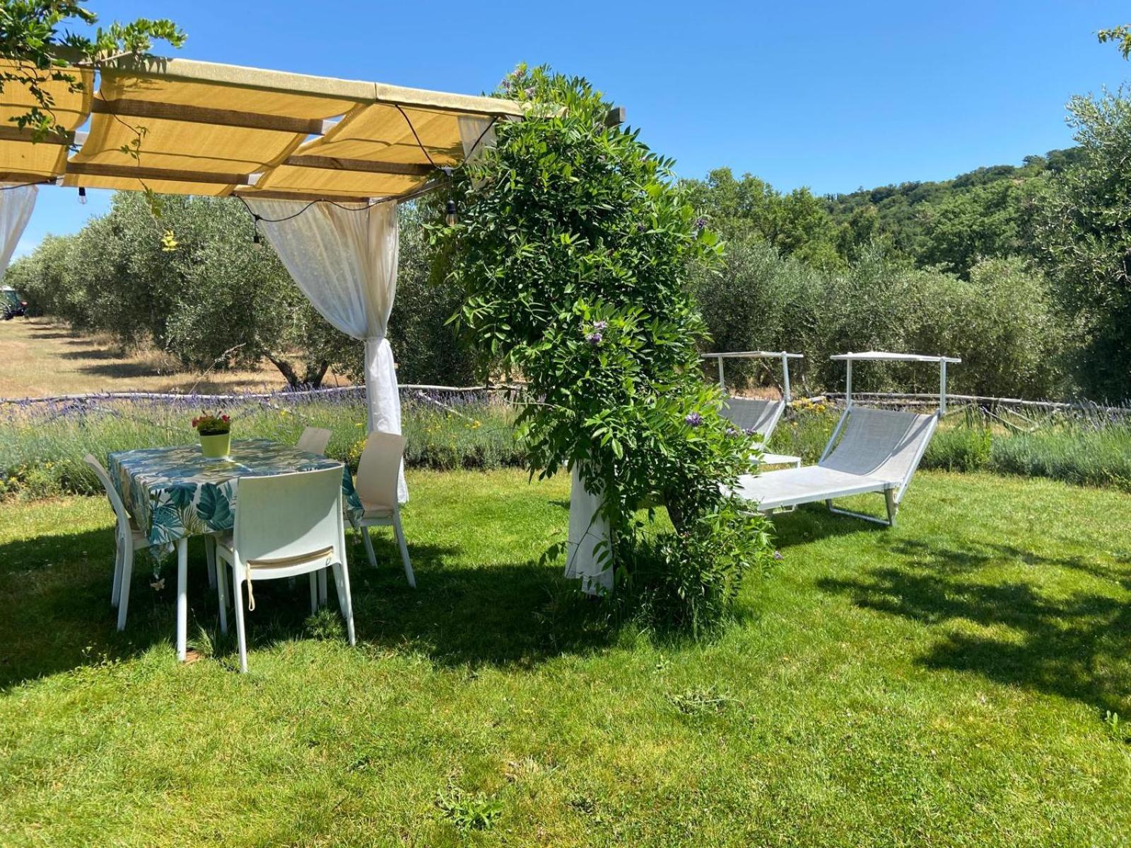 Tenuta Le Mandorlaie, Agriturismo In Скансано Екстериор снимка