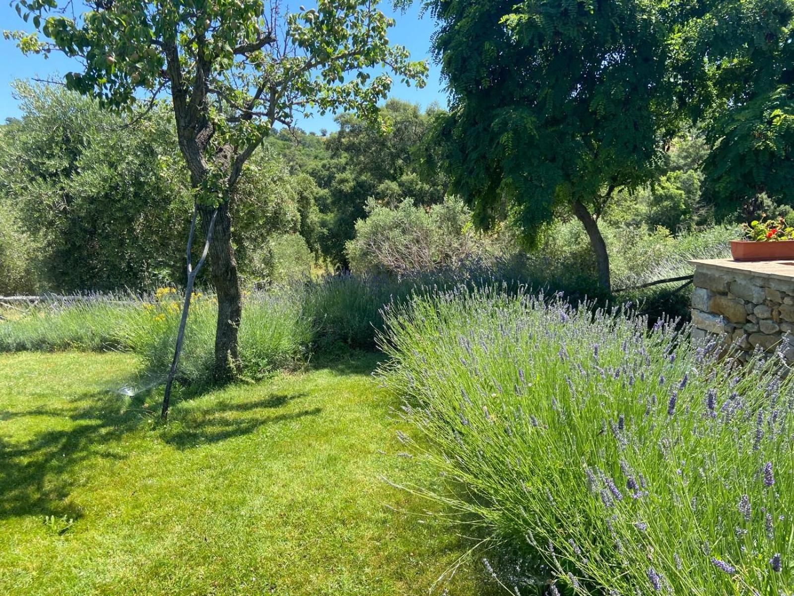 Tenuta Le Mandorlaie, Agriturismo In Скансано Екстериор снимка